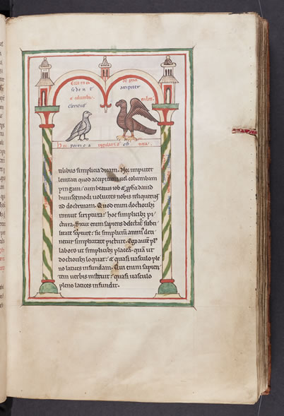 Scanned Image from Manuscript - Hugo de Folieto, De avibus (ca. 1200) 
