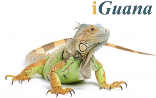 iGuana - Enterprise Content Management